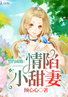 契约成婚:情陷小甜妻