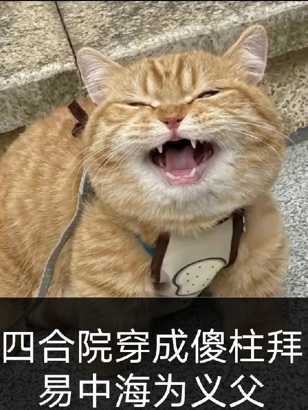 四合院穿成傻柱拜易中海为义父