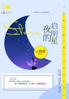 夜的启明星