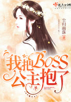 我把BOSS公主抱了